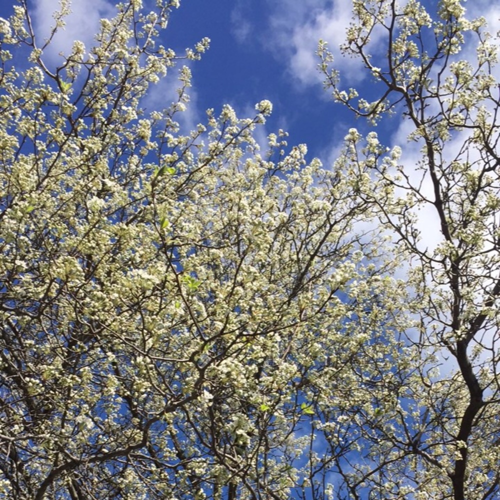 Meet your Posher, Ashleigh